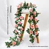 Champagne 16-head rose vine, approximately 2.3 meters in length