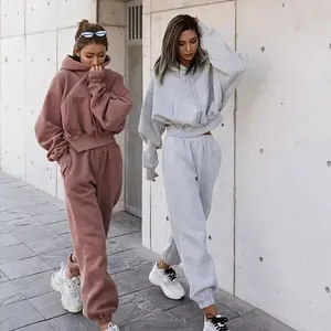 Custom Tracksuits Heavyweight Cotton French Terry Vintage Blank Hoodie Pants 460gsm Jogger Women Hoodie and Sweatpants Set