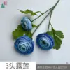 ดอกบัวน้ำค้าง 3 หัว สีฟ้า HN
