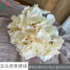 Ramo de hortensias de cinco cabezas ZYGY color Champagne