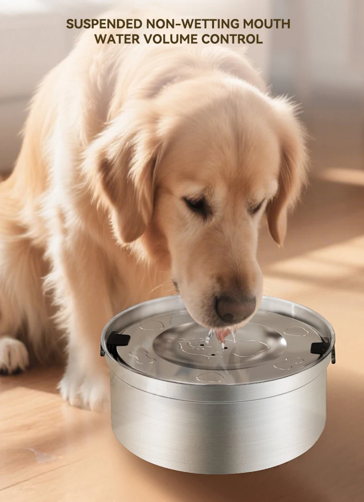 NEW Spill-proof Dog Bowl No Spill Raised Dog Food Bowl Stand Stainless Steel Food and Water Bowl Set Pet Feeding Station factory