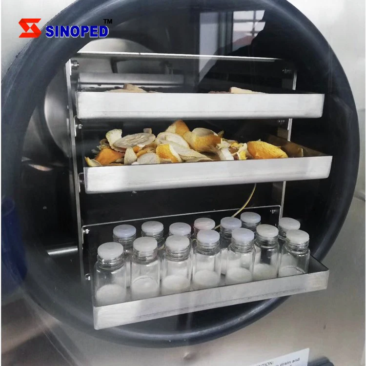 Vacuum Freeze Drying Machine Food Dryer Fruit (FSF-18N-60A)