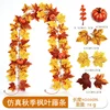 26-head autumn maple vines - K [2m]