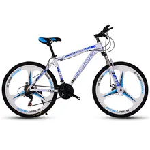 Mountain Bike (2).jpg