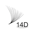 14D
