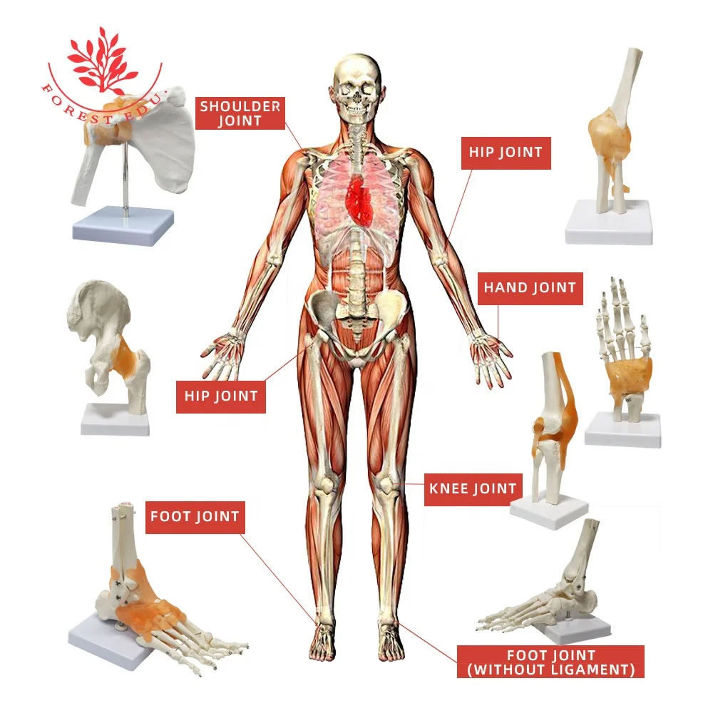 Tort jinsiy aloqa haqida film