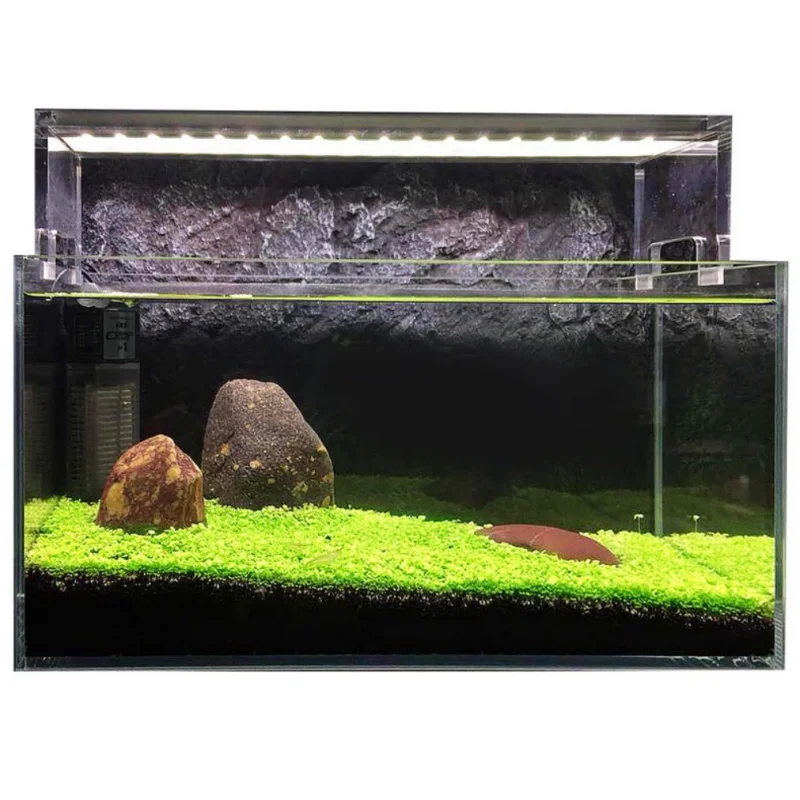 Aquarium Glossostigma Hemianthus Callitrichoides Seeds Water Grass Mini Leaf Live Plant Fish Tank Decoration Landscape Ornament