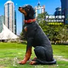 85 cani di razza Rottweiler