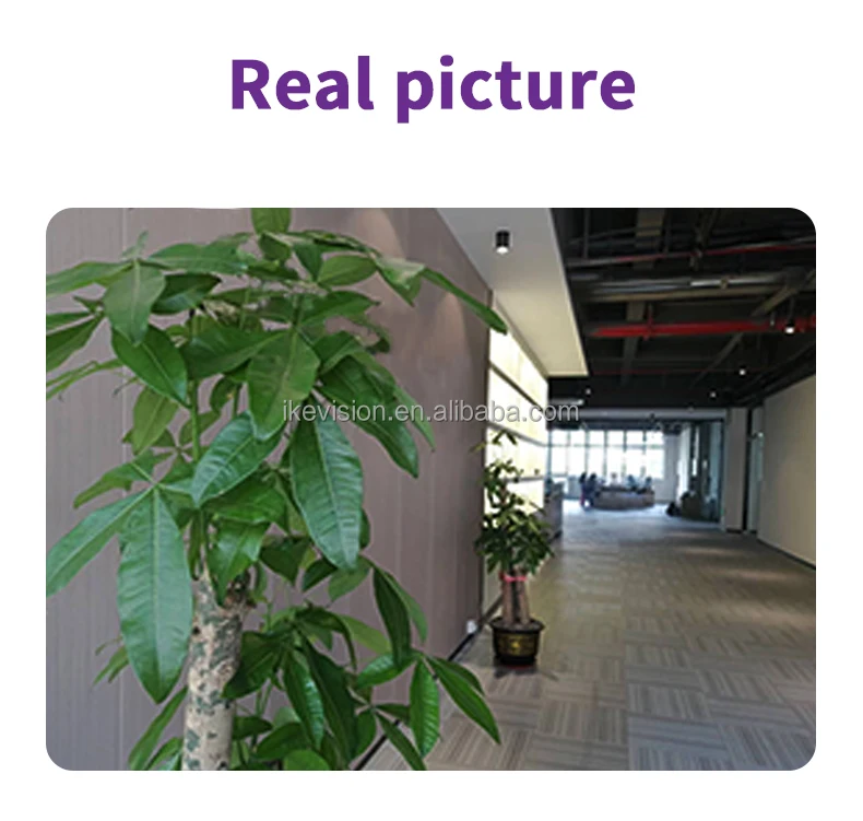 WiFi Night Vision Smart Camera with Motion Alarm - Image 4