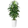 Pianta Artificiale di Dracaena Fragrans a Strisce in Vaso da Terra