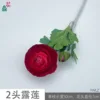2-headed Dew Lotus YWLZ, bright red