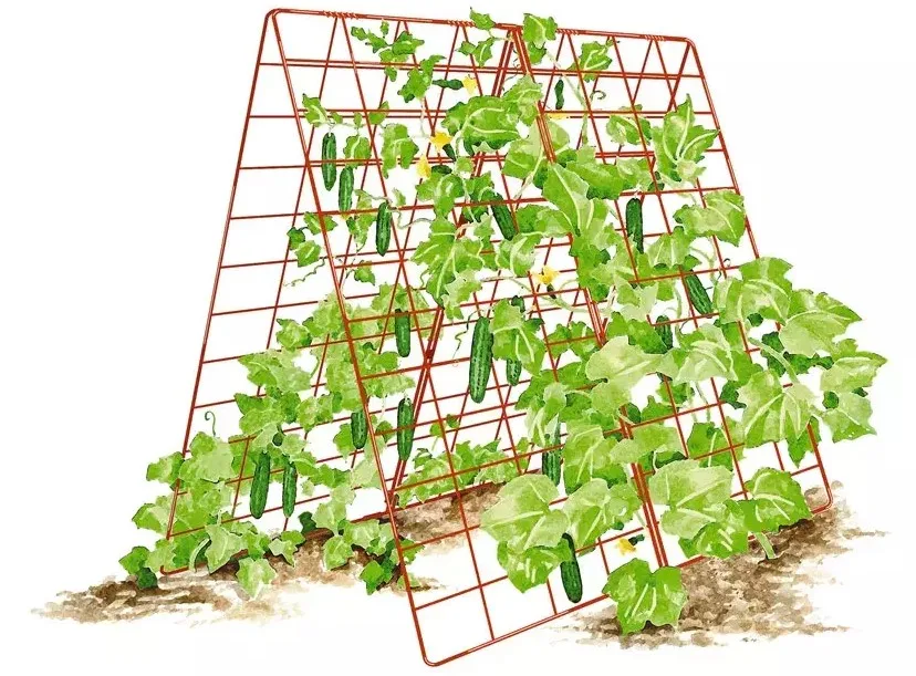 Fence Nets Deluxe Cucumber Trellis Aframe Garden Trellises Plastic Net