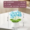 Light blue forget-me-not potted plant