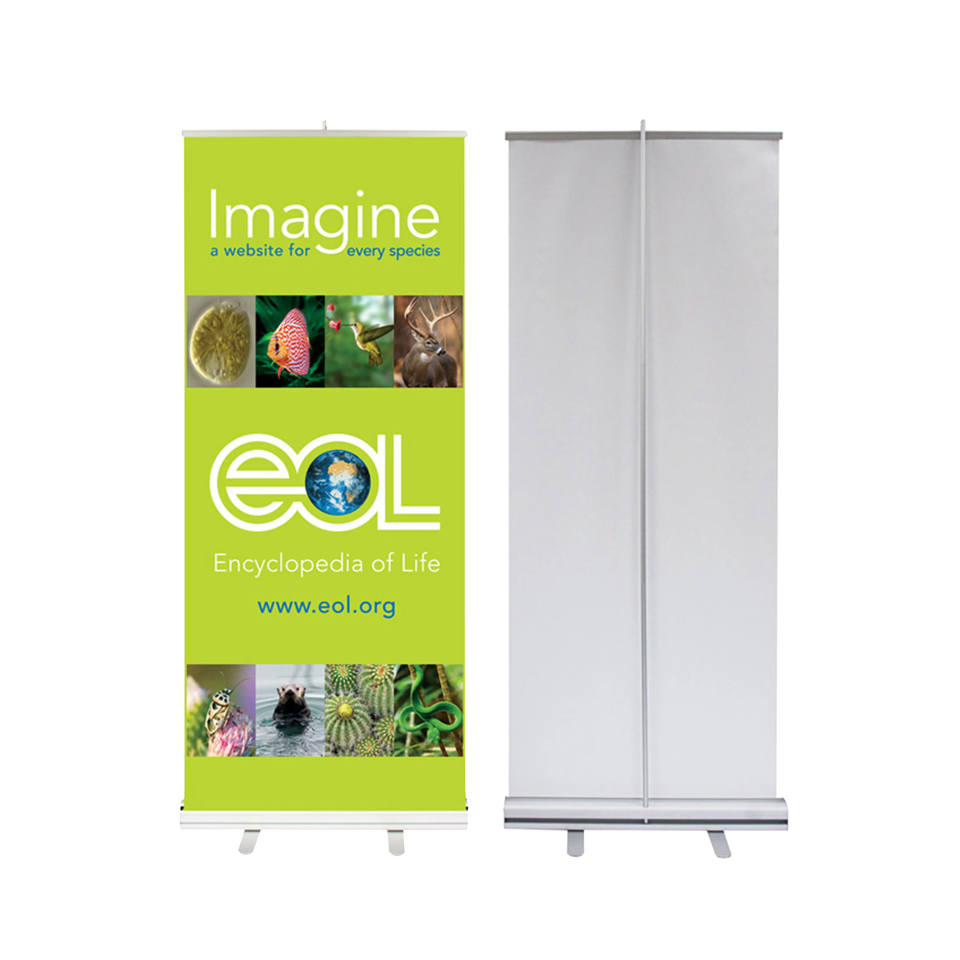 New Style Exhibition Printed Roll up Banner Size in Inches
