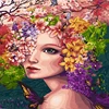 Colori 11