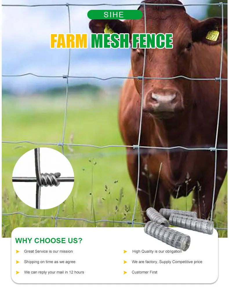 Galvanized Farm Field Wire Mesh Fence Hog Wire Welded Wire Mesh Panels