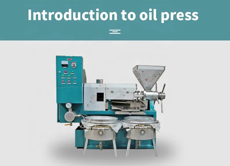 Stainless steel 150kg/h large commercial oil extraction machine screw palm oil press machine