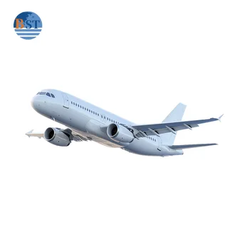 Fast Air Sea Logistic Services DDP Shipping Agent in China to USA UK Canada Freight Forwarder