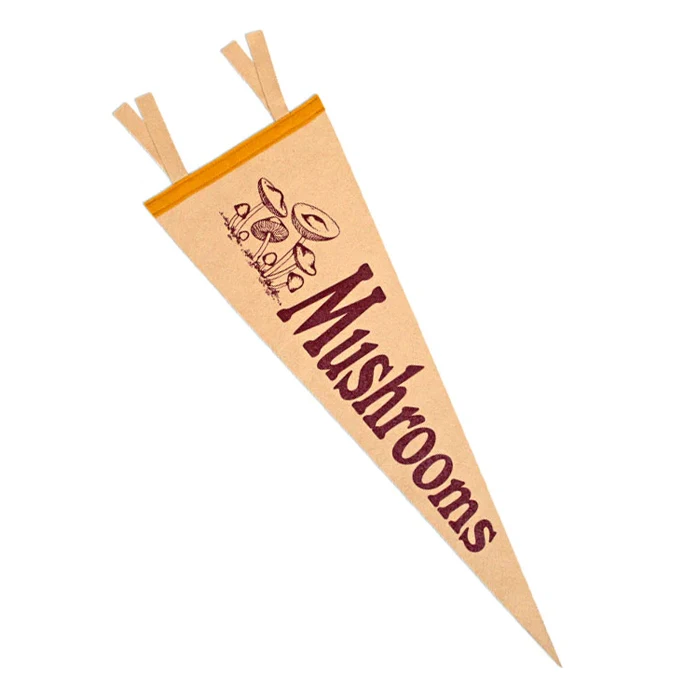 Factory Supply Cheap Printing Sublimation Custom Sports Team Logo Promotion Advertising Triangle Wool Felt Pennant Flag
