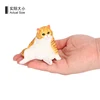 3341 Chat paresseux