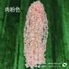 One-meter-long orchid cluster, flesh pink