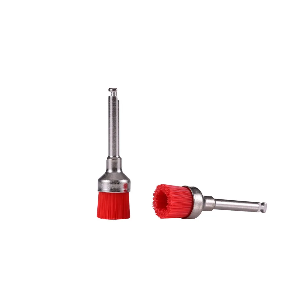 Sj High Quality Dental Prophy Brush Colorful Latch Dental Prophylaxis