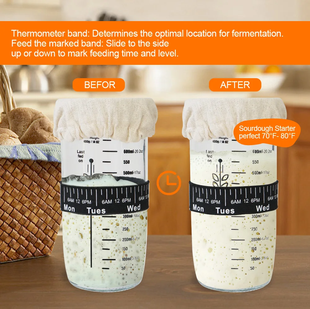 Rayshine 2 Pack Sourdough Starter Jar Container Sourdough Starter Kit With Thermometer Scraper
