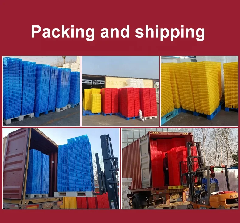 Factory Direct Sale pp Stackable and Nestable Plastic Chick Moving Crate for Day Old Chicks