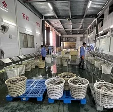 frozen black tilapia red tilapia frozen tilapia fish live tilapia