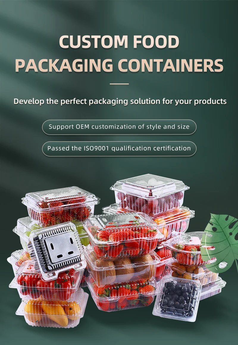 Salad Container Clamshell Custom Clamshell Food Packaging Rectangular Small Clear Plastic Hinged ...