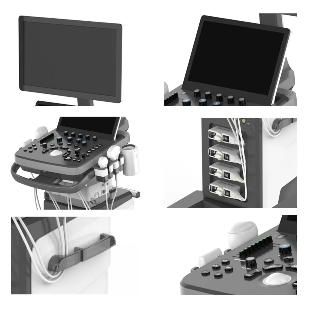 High Quality 13.3 Inch Touch Screen 4D Trolley Color Doppler Ultrasound Ultrasound Machine