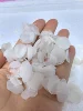 petalo di ortensia bianca