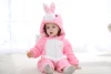 Pink Rabbit