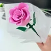 Pl single pink rose-bagged