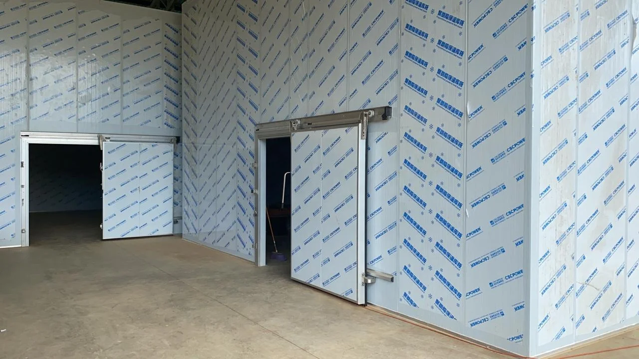 工厂价格步行在鼓风冷冻食品海鲜深冷冷室肉鱼储存