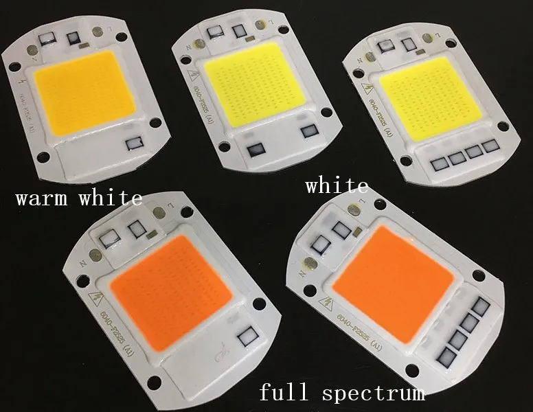 LED driver free AC 220v 20w  White/Warm White AC Cob Led Chip 40x60mm for flood light