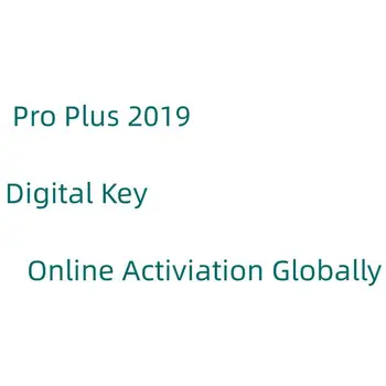 Hot sales Genuine Pro Plus 2019 OEM Key 100% Activation Online Globally
