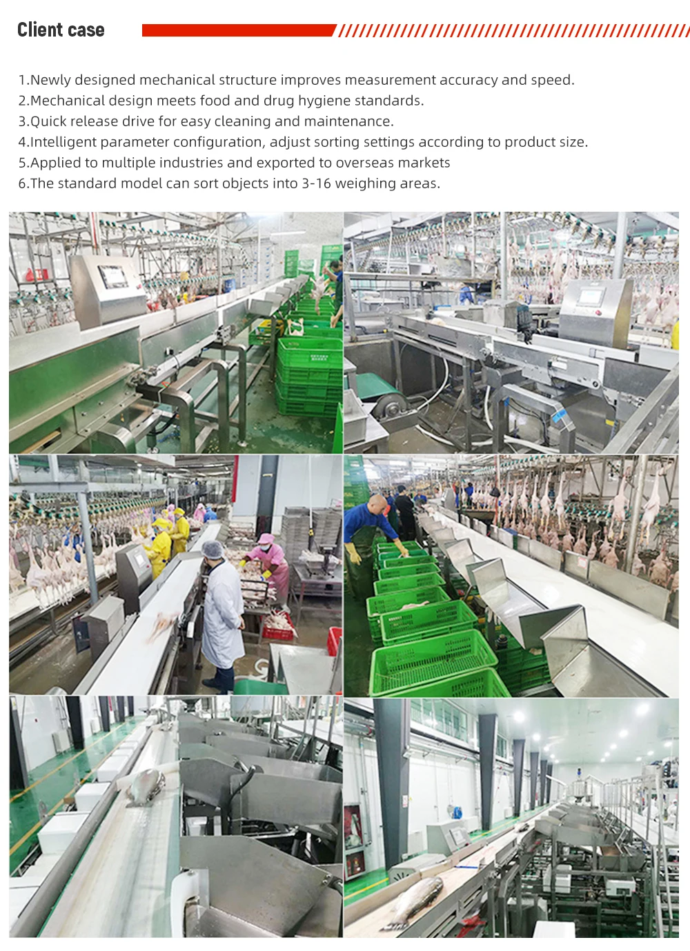 Custom High Speed and High Precision Digital Sorting Weighing Scale Automatic Checkweigher Weight Sorter Machine for Frozen Fish