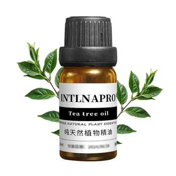 Wholesale Price Factory Direct Sale 100% Pure Natural Tea Tree Essential Oil