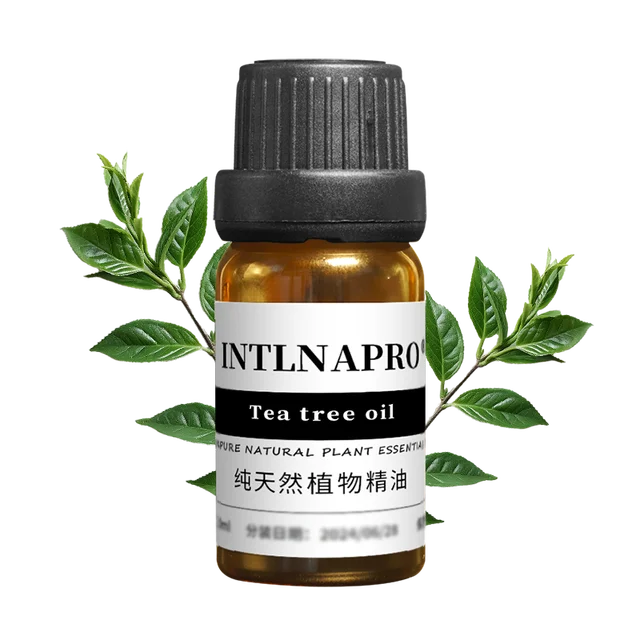 Wholesale Price Factory Direct Sale 100% Pure Natural Tea Tree Essential Oil