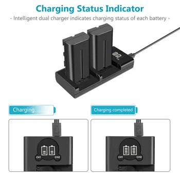 Neewer NP-F550 Battery Charger Set for  NP-F970 F750 F960 F530 F570 CCD-SC55 TR516 TR716 and More 2-Pack 2600 Replacement detail image