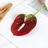 Single film anthurium dark 2
