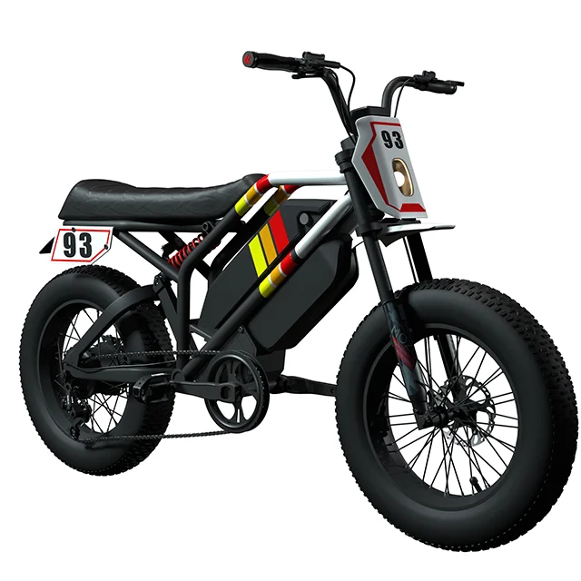 1500W Ebike 2023 Powerful 52V Electric Bike with 20