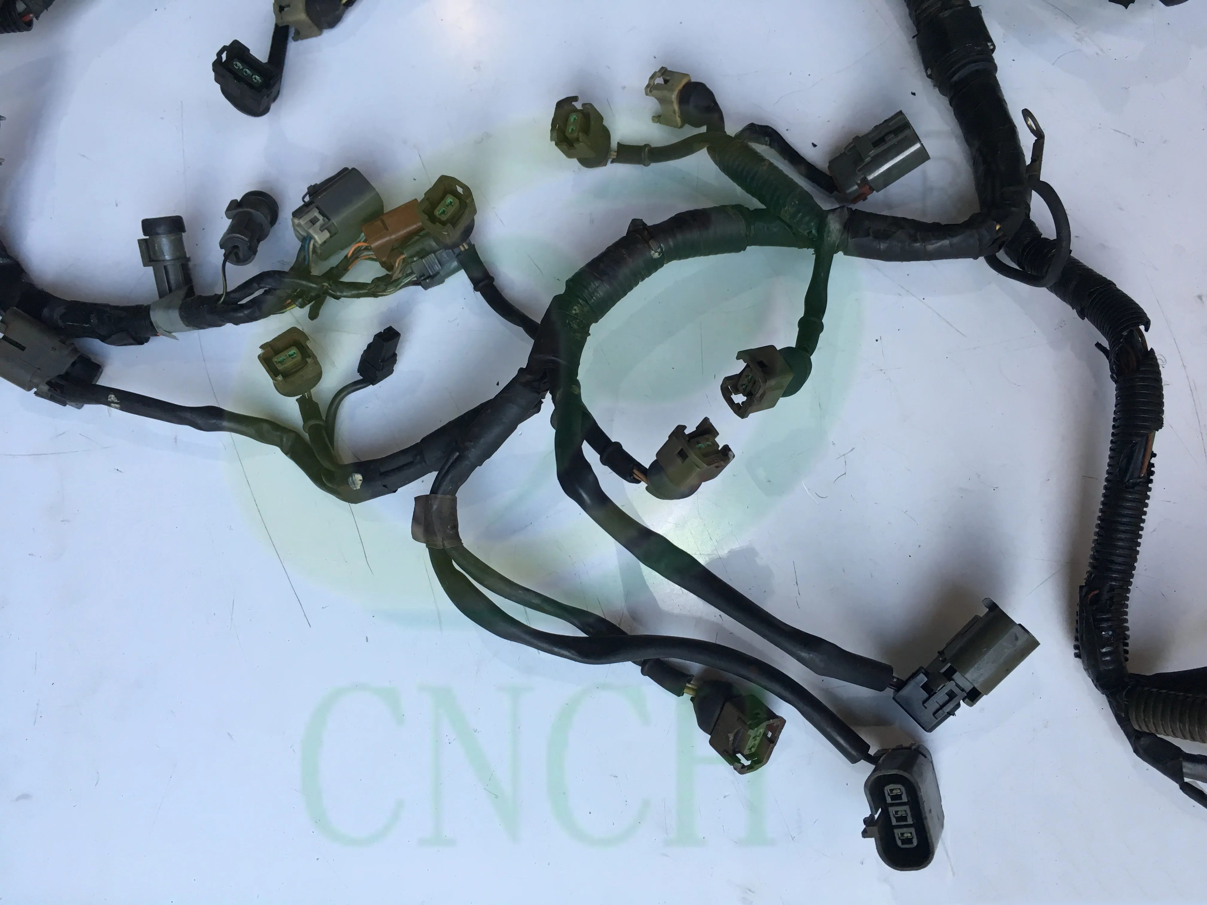 稲系 EcZ35nKUMAM_lJ4.jpg