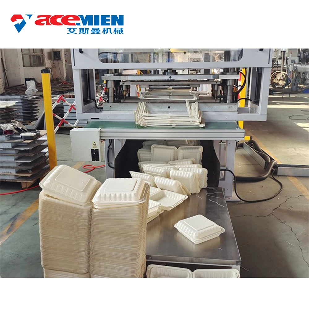 Plastic Lunch Box Machine PP Container Forming Thermoforming Machine
