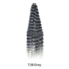 T1B-Gris
