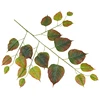 autunno