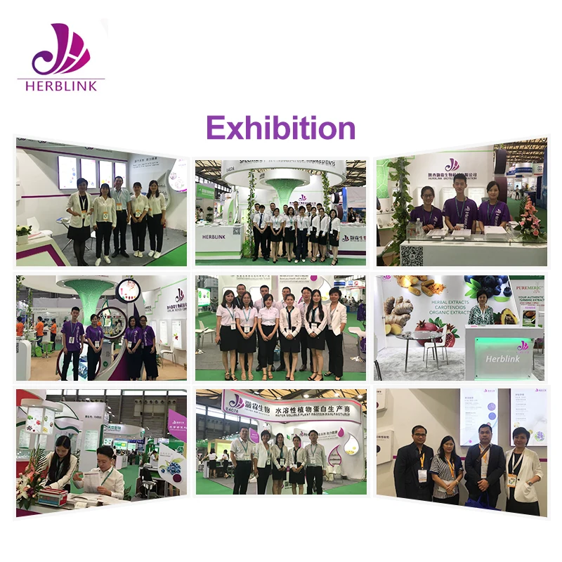 Health Care Salvia Officinalis Clary Sage Leaf Extract For Brain Buy