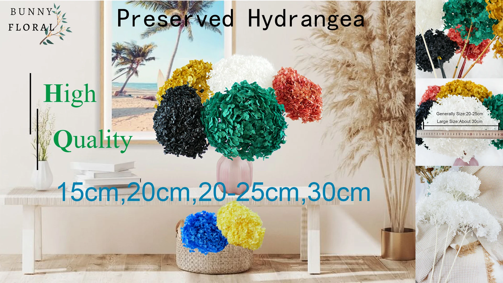 Wholesale Dry Hydrangea Dried Flowers Big Cream Preserved Plants