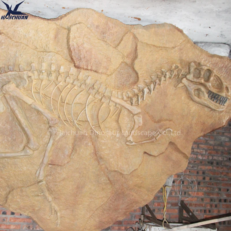 Haichuan Custom Life Size Fiberglass Dinosaur Fossil Wall Decoration Props for Museum Exhibition Dinosaur Skeleton Replica